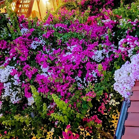 Su Ξενοδοχείο 3*