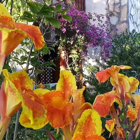 Su Ξενοδοχείο Dalyan