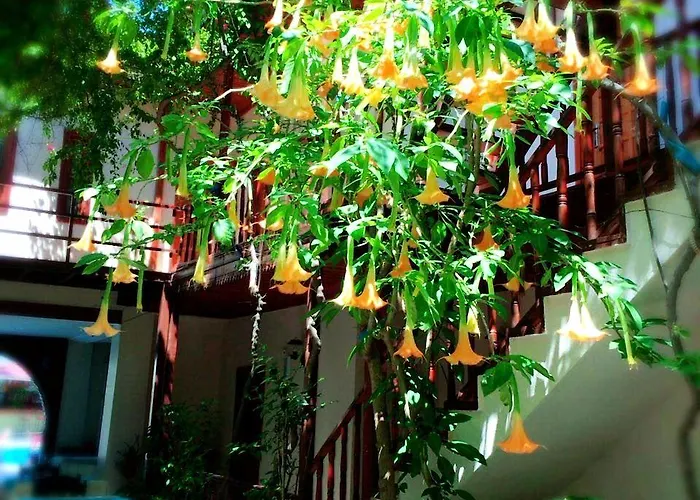 Hotell Su